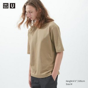 Camiseta Uniqlo U AIRism Cotton Oversized Crew Neck Half-Sleeve Mujer Beige | 73248_PE