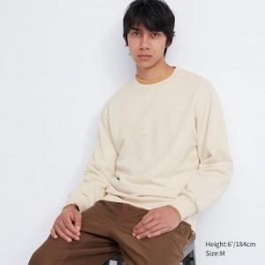 Sudaderas Uniqlo Sweatshirt Hombre Natural | 49386_PE