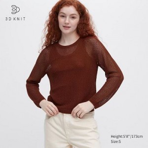 Suéteres Uniqlo 3D Knit Mesh Long-Sleeve Crew Neck Mujer Marrones | 260813_PE