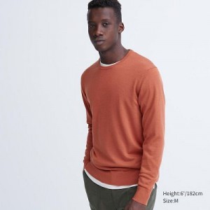 Suéteres Uniqlo Extra Fine Merino Crew Neck Hombre Naranjas | 312487_PE