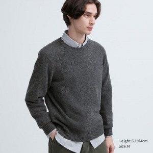 Suéteres Uniqlo Premium Lambswool Crew Neck Long Sleeve Hombre Gris | 279451_PE