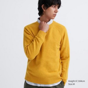 Suéteres Uniqlo Premium Lambswool Crew Neck Long Sleeve Hombre Amarillo | 314752_PE