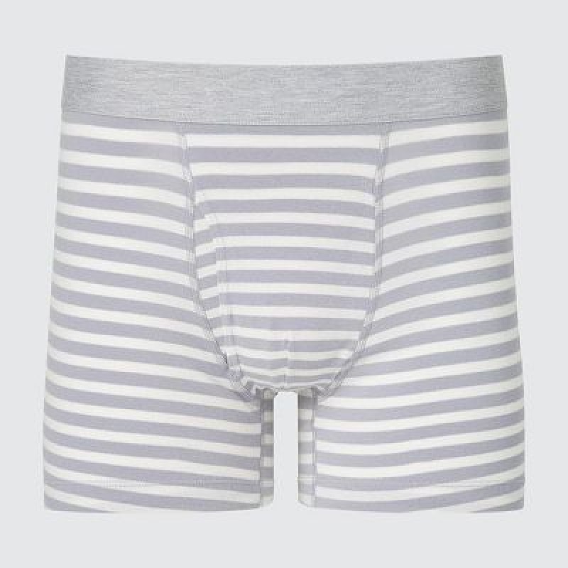 Bragas Uniqlo Cotton A Rayas Boxer Hombre Gris | 71453_PE