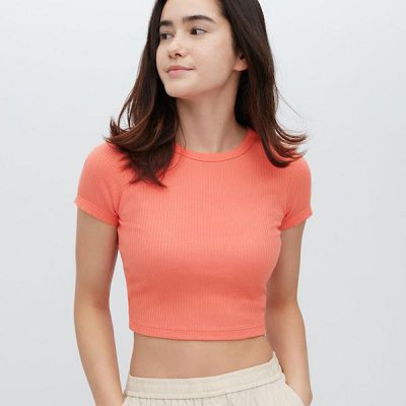 Camiseta Uniqlo Acanalado Crew Neck Short-Sleeve Cropped Mujer Rosas | 401829_PE