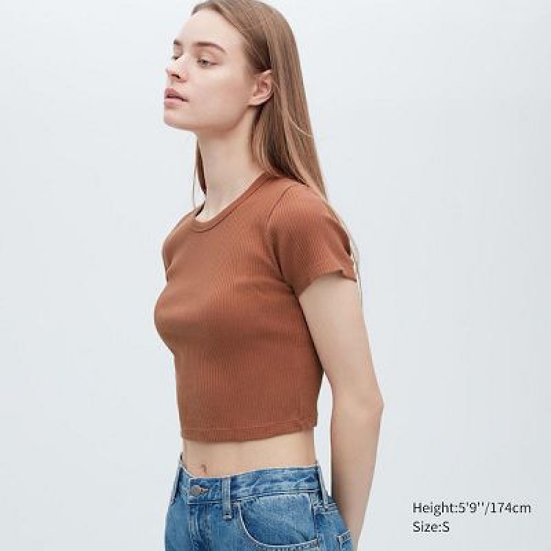 Camiseta Uniqlo Acanalado Crew Neck Short-Sleeve Cropped Mujer Marrones | 906283_PE