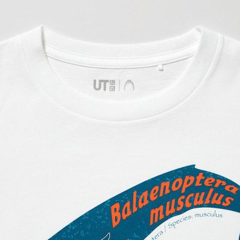 Camiseta Uniqlo National Museum of Nature and Science, Tokyo UT Niños Blancas | 957263_PE