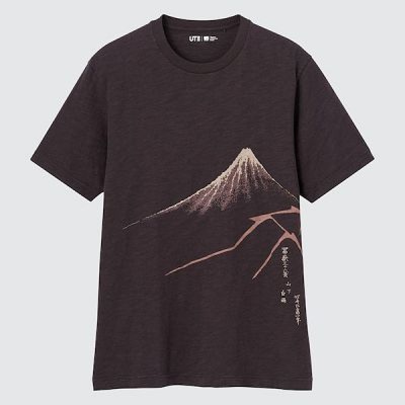 Camiseta Uniqlo Ukiyo-e UT Hombre Marrones | 140753_PE