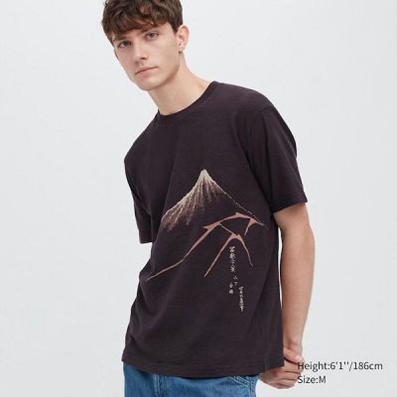 Camiseta Uniqlo Ukiyo-e UT Hombre Marrones | 140753_PE