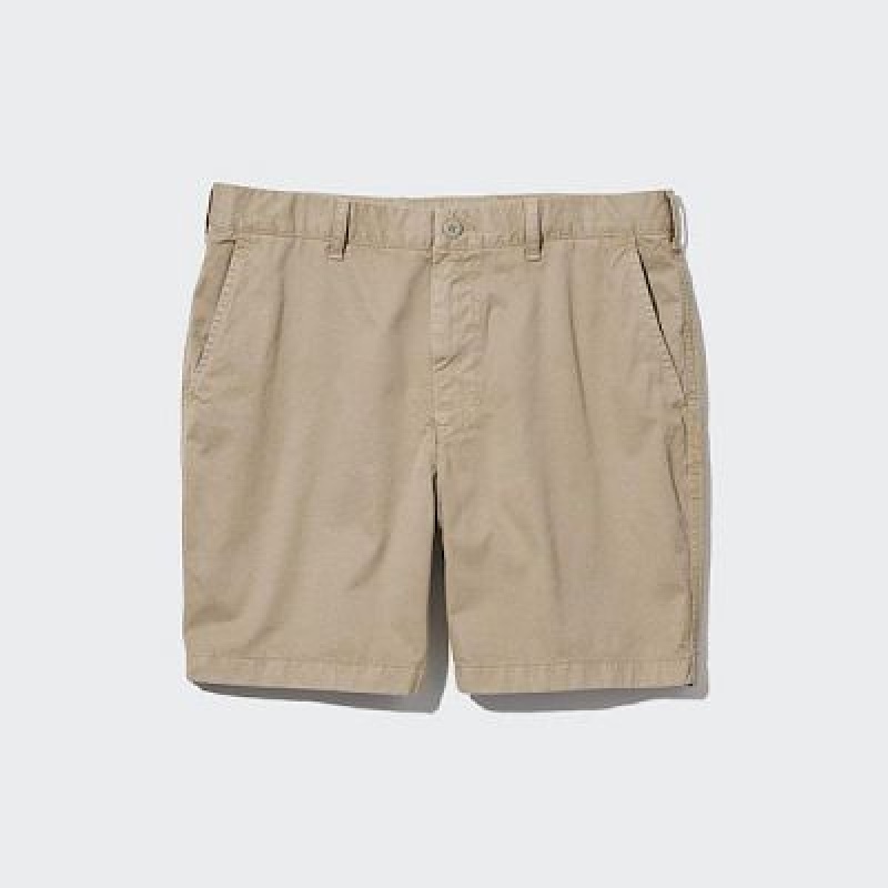 Short Uniqlo Chino (7