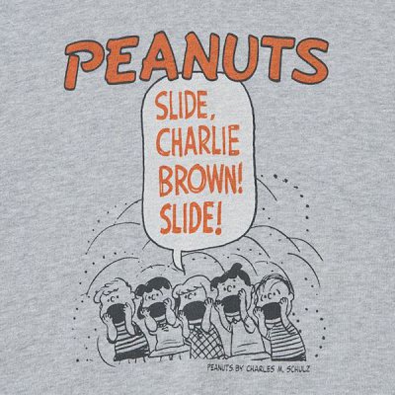 Sudadera con Capucha Uniqlo PEANUTS Charlie Brown's Baseball Team Long-Sleeve Niños Gris | 508317_PE